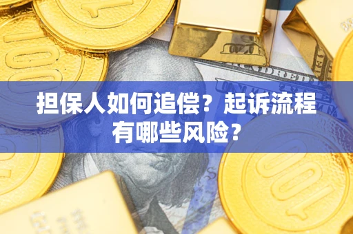 北京担保人如何追偿？起诉流程有哪些风险？