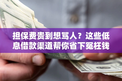 北京担保费贵到想骂人？这些低息借款渠道帮你省下冤枉钱