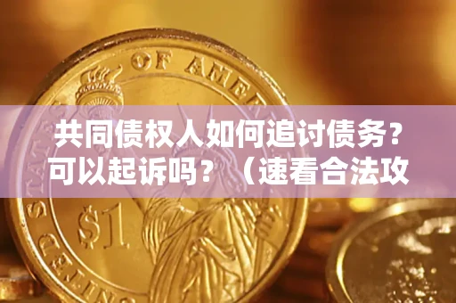北京共同债权人如何追讨债务？可以起诉吗？（速看合法攻略）